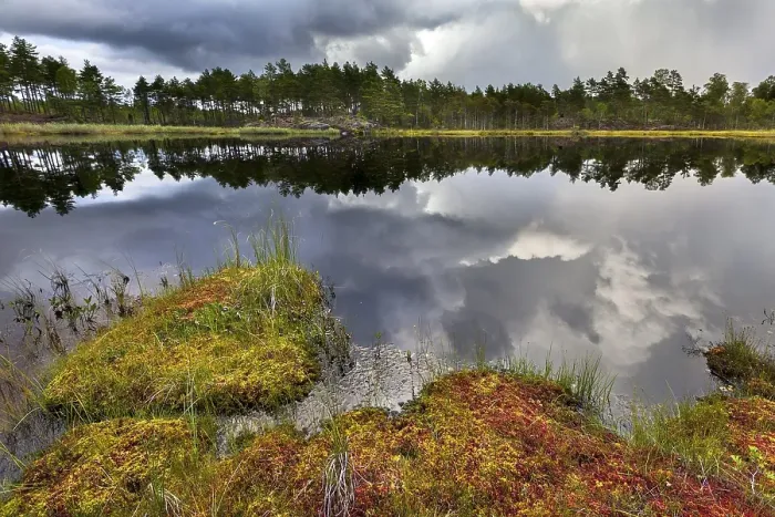 Framed Print : Naeveretjaern Lake, Tresticklan National Park