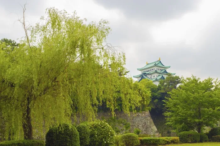 Framed Print : Top of Nagoya Castle visible above treeline and rampart walls on overcast day in Nagoya