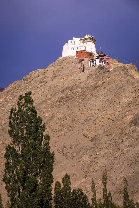Framed Print : Namgyal Tsemo Gompa (Monastery)
