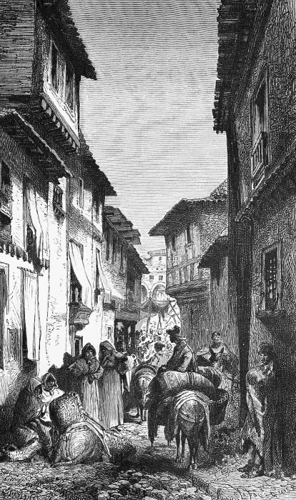 Framed Print : Narrow alley in a Spanish town, living in poverty, female traders, sale, pack animal donkey, many people, society, geography, Spain, historical illustration 1888, Europe