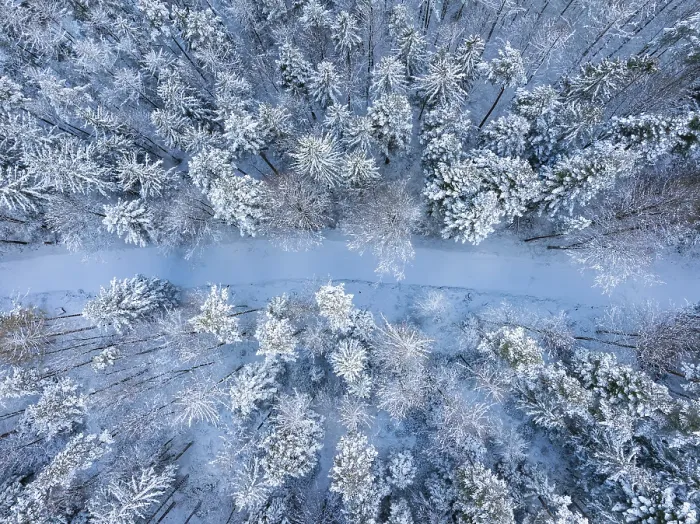 Framed Print : Narrow, snow-covered path through a quiet winter forest