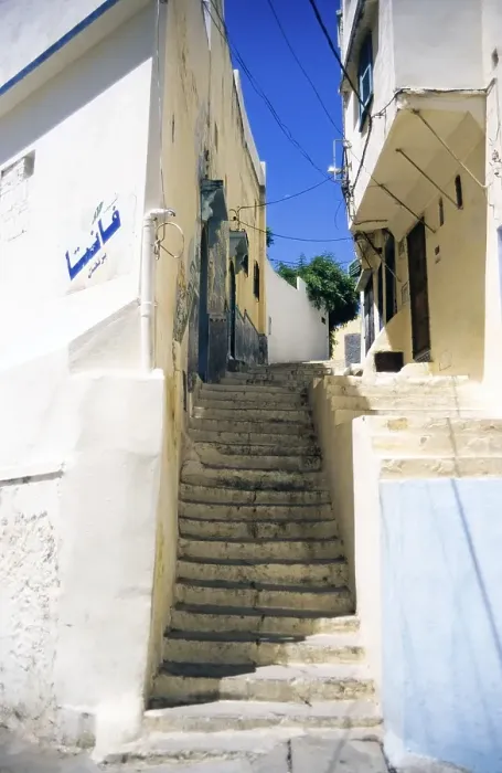 Framed Print : Narrow stone steps lead to traditional houses in the old town, Tangier, Morocco, North Africa, Africa Framed Print : Narrow stone steps lead to traditional houses in the old town, Tangier, Morocco, North Africa, Africa