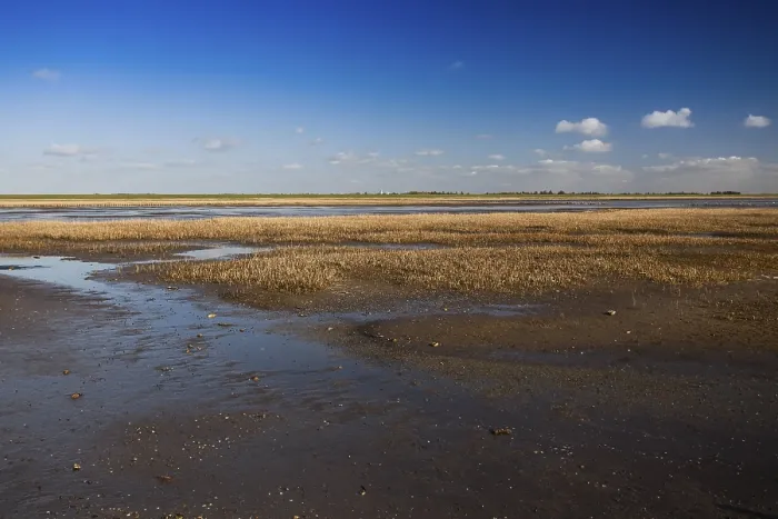Framed Print : National Park, Wadden Sea Framed Print : National Park, Wadden Sea