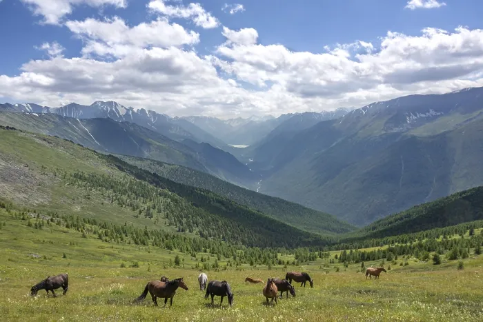 Framed Print : The nature in Altai Mountains Framed Print : The nature in Altai Mountains