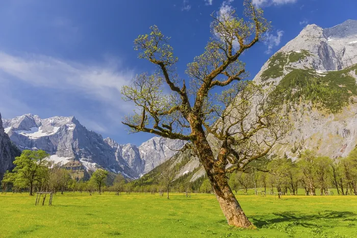 Framed Print : Nature conservancy area Grosser Ahornboden