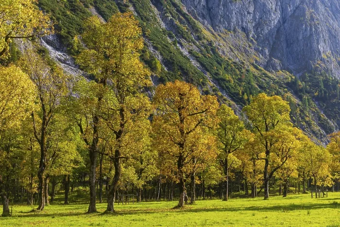 Framed Print : Nature conservancy area Grosser Ahornboden