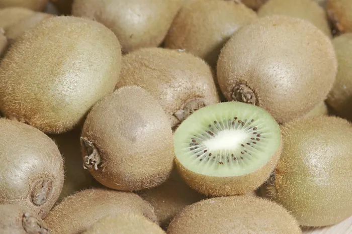Framed Print : Nature, Fruit, Kiwi, Actinidia delicious