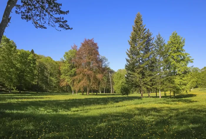 Framed Print : Nature park park near Lichtenstein Castle