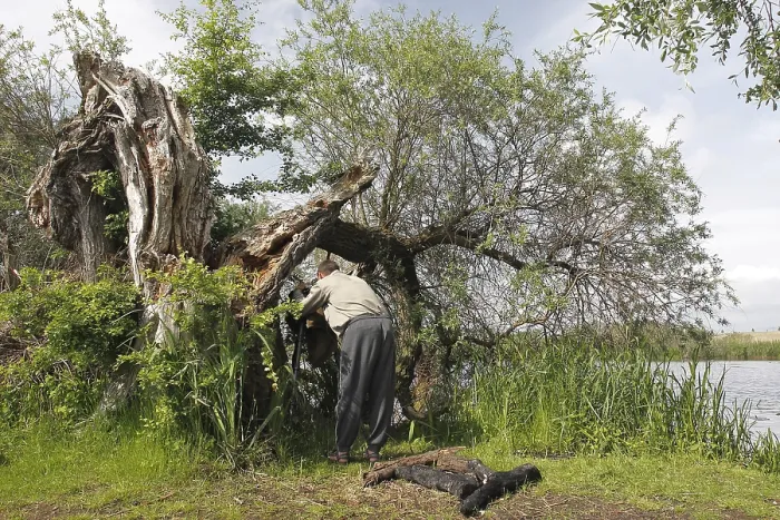 Framed Print : Nature park photographer at work