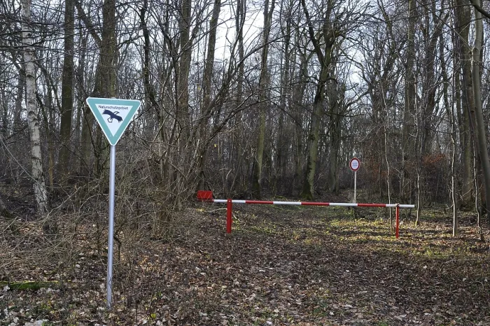 Framed Print : Nature reserve in a flooding area at the Main River near Schweinfurt