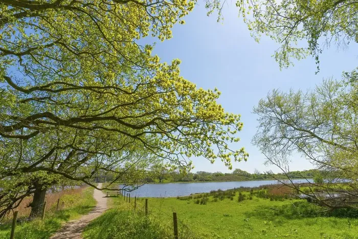 Framed Print : Nature reserve, NSG Geltinger Birk
