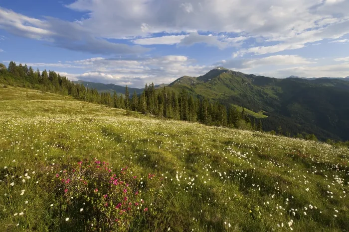Framed Print : Naunz in spring, Naunz, Kellerjoch