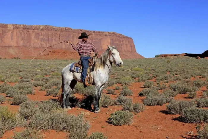 Framed Print : Navajo cowboy, Mustang, Monument Valley Framed Print : Navajo cowboy, Mustang, Monument Valley
