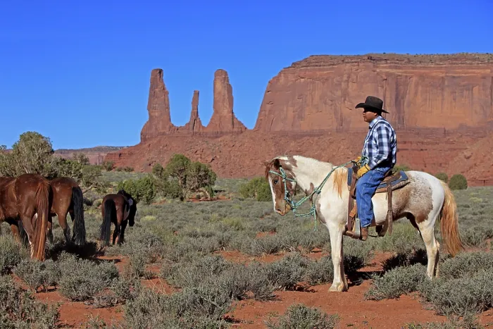 Framed Print : Navajo cowboy, Mustang, Monument Valley