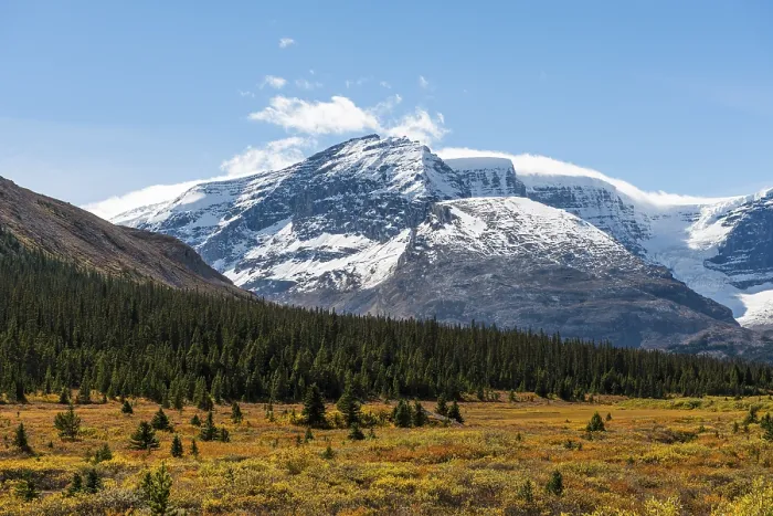 Framed Print : Near Highway Icefields Parkway