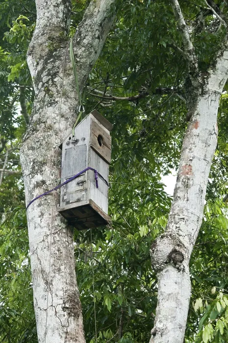 Framed Print : Nesting box for macaws developed by researchers at the Ara-research project