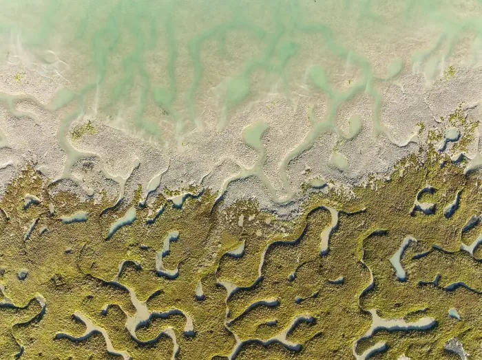 Framed Print : Network of channels and streams at low tide