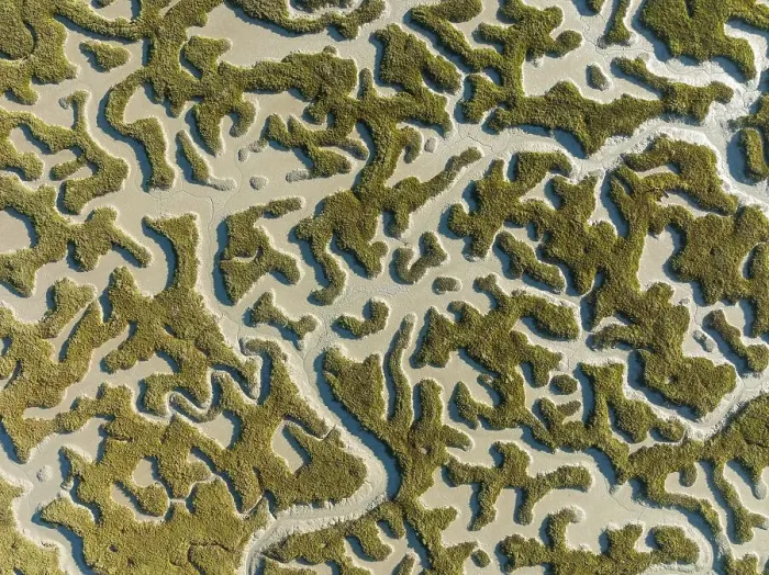 Framed Print : Network of dry channels and streams at low tide