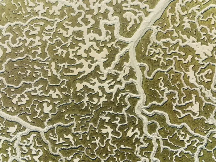 Framed Print : Network of dry channels and streams at low tide