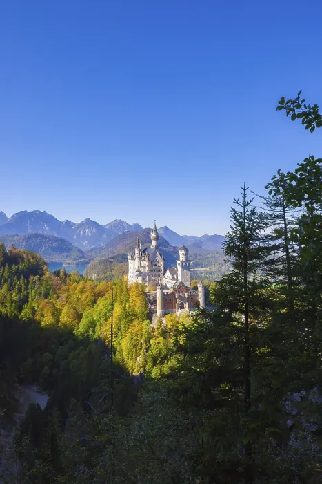 Framed Print : Neuschwanstein Castle in the midst of autumn forests with a majestic mountain backdrop under a clear sky Framed Print : Neuschwanstein Castle in the midst of autumn forests with a majestic mountain backdrop under a clear sky