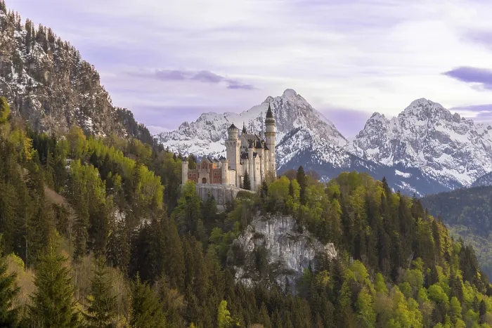 Framed Print : Neuschwanstein Castle near Fussen Framed Print : Neuschwanstein Castle near Fussen