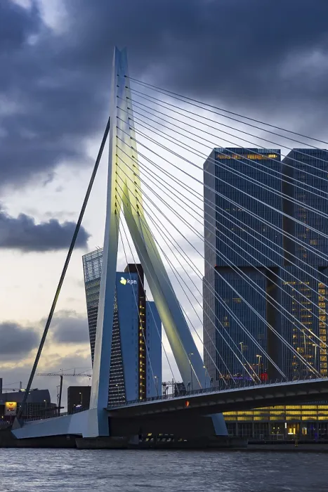 Framed Print : Nieuwe Maas with Erasmus Bridge and skyscrapers Framed Print : Nieuwe Maas with Erasmus Bridge and skyscrapers