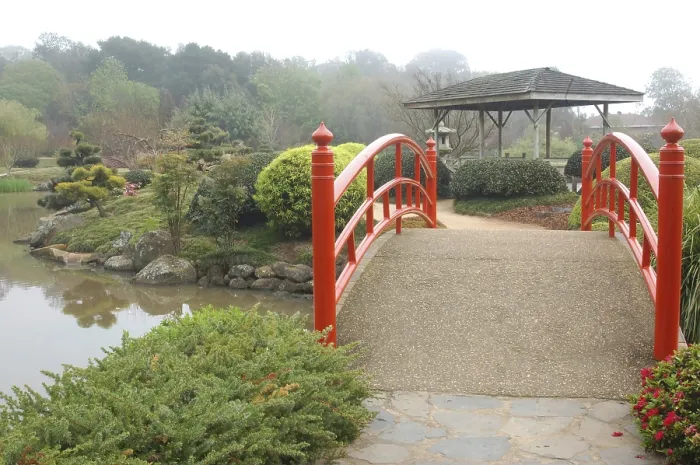 Framed Print : Nikki bridges in Japanese Garden