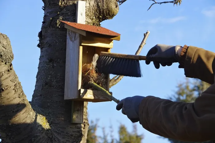 Framed Print : Nistkasten saubern, cleaning the nest box in spring Nistkasten s?ubern
