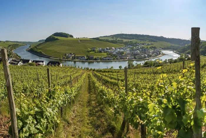 Framed Print : Nittel, Moselle, Rhineland-Palatinate Framed Print : Nittel, Moselle, Rhineland-Palatinate
