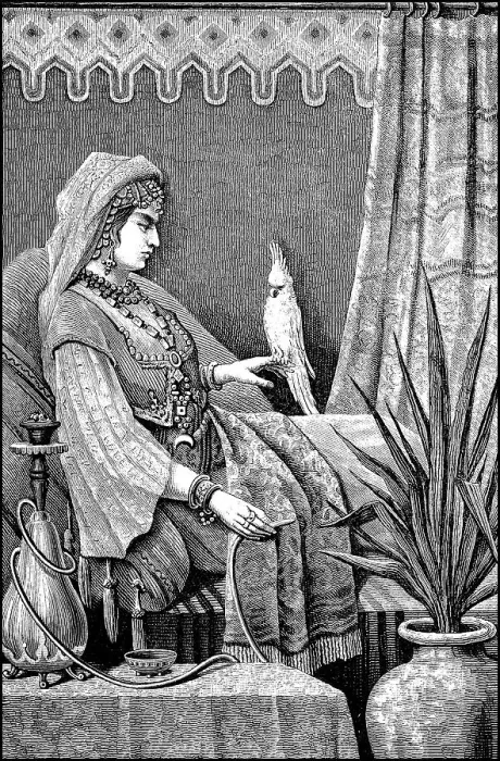 Framed Print : Noble Arab Woman with a Parrot and Water Pipe from Baghdad Framed Print : Noble Arab Woman with a Parrot and Water Pipe from Baghdad
