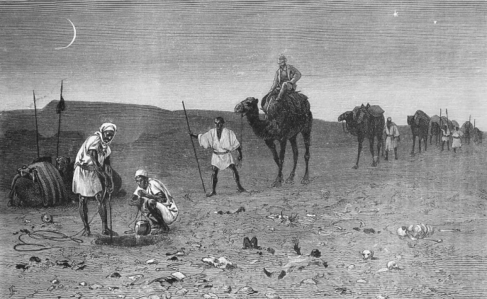 Framed Print : Nocturnal caravan through the Sahara reaches a waterhole, camels, rider, well, crescent moon, stars, line, pot, sandy desert, erg, travelling, historical illustration 1886 Framed Print : Nocturnal caravan through the Sahara reaches a waterhole, camels, rider, well, crescent moon, stars, line, pot, sandy desert, erg, travelling, historical illustration 1886