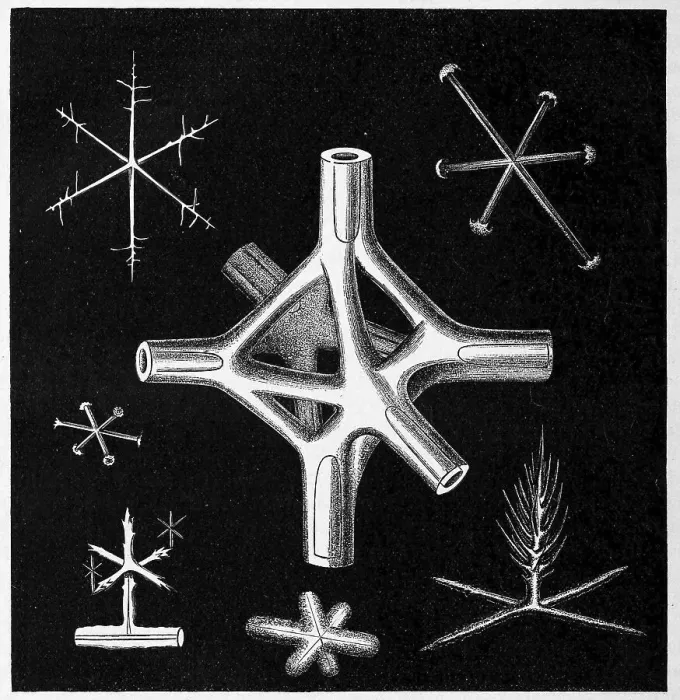 Framed Print : Nodal octahedron of a fossil ventriculite Framed Print : Nodal octahedron of a fossil ventriculite