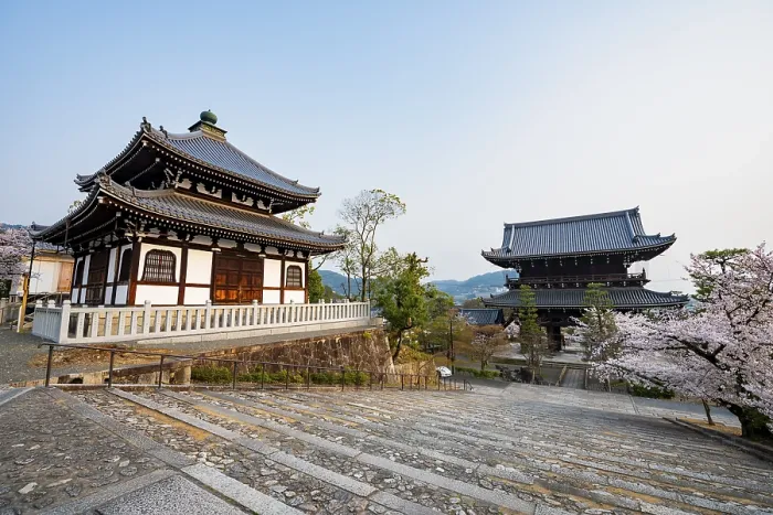 Framed Print : Nokotsudo and Sanmon Gate in the evening light with blooming cherry trees