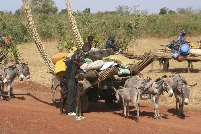 Framed Print : Nomadic family with their belongings on the move (the men are with the cattle) in the Malian Sahel Framed Print : Nomadic family with their belongings on the move (the men are with the cattle) in the Malian Sahel