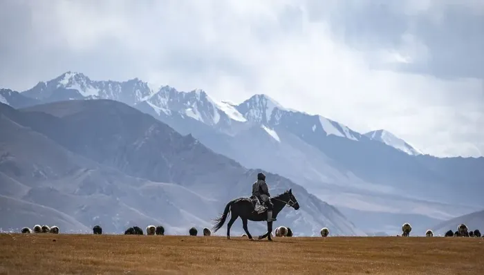 Framed Print : Nomadic life on a plateau, shepherd on horse Framed Print : Nomadic life on a plateau, shepherd on horse