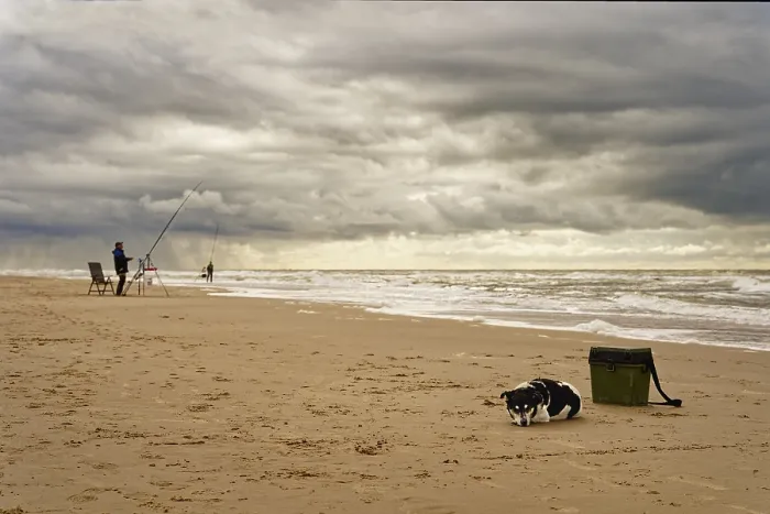 Framed Print : North Sea, a dog is lying on the beach next to his master's fishing suitcase Framed Print : North Sea, a dog is lying on the beach next to his master's fishing suitcase