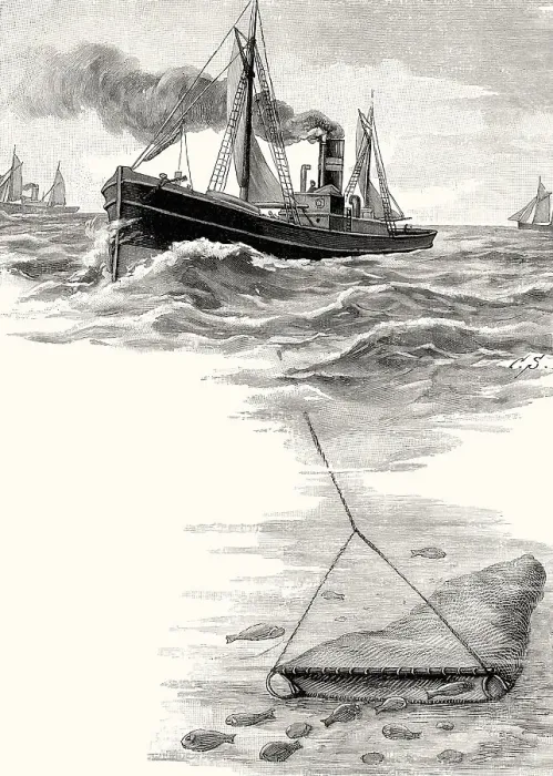Framed Print : North Sea fish steamer with trawl, 19th century Framed Print : North Sea fish steamer with trawl, 19th century