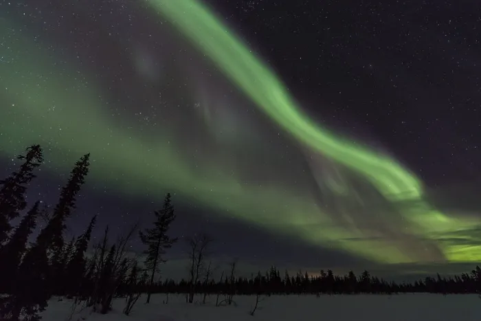Framed Print : Northern Lights (Aurora borealis)