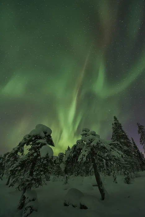 Framed Print : Northern Lights (Aurora borealis)