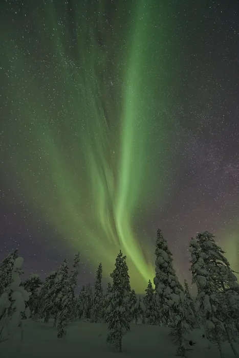 Framed Print : Northern Lights (Aurora borealis)