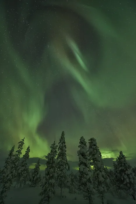 Framed Print : Northern Lights (Aurora borealis)