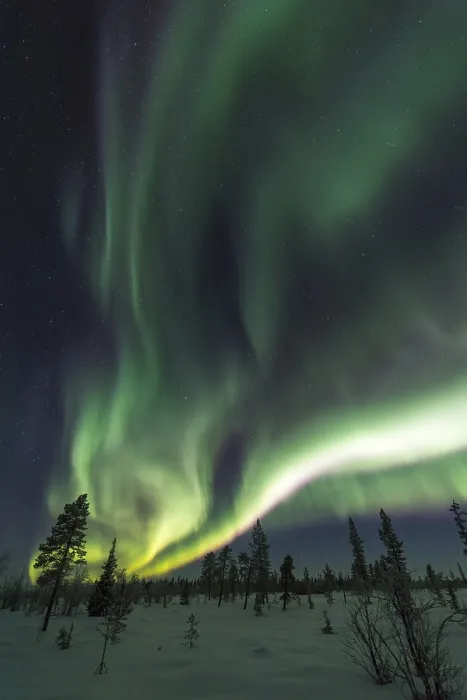 Framed Print : Northern Lights (Aurora borealis)