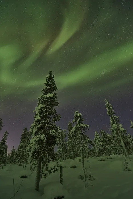 Framed Print : Northern Lights (Aurora borealis)