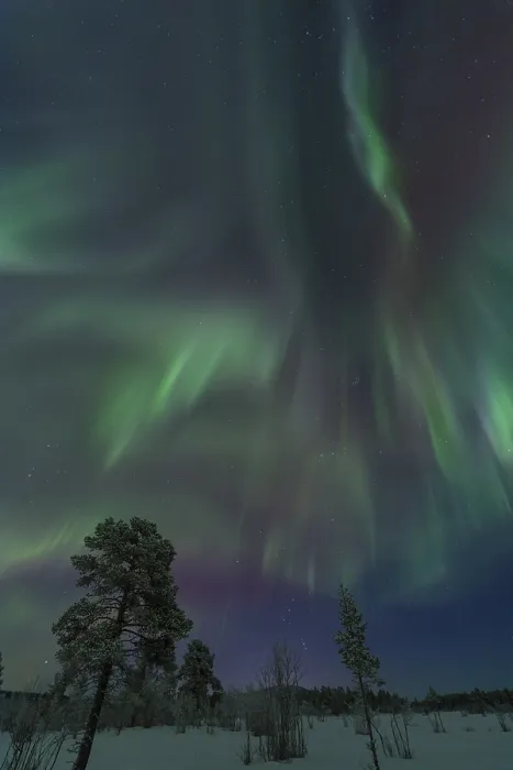 Framed Print : Northern Lights (Aurora borealis) Framed Print : Northern Lights (Aurora borealis)