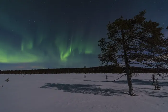 Framed Print : Northern Lights (Aurora borealis) over moonlit winter landscape Framed Print : Northern Lights (Aurora borealis) over moonlit winter landscape