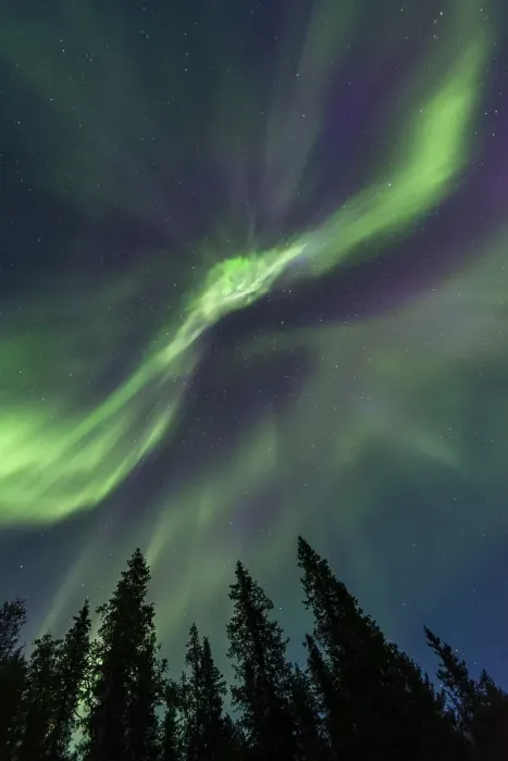 Framed Print : Northern Lights or Aurora Borealis above trees