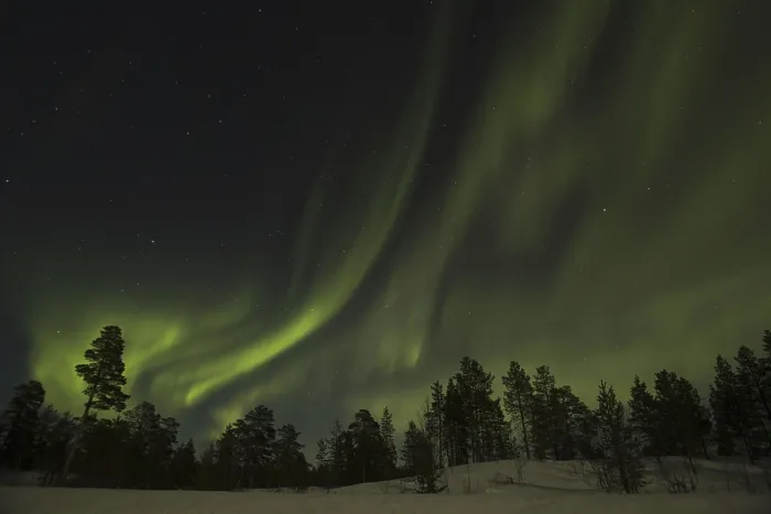 Framed Print : Northern Lights, Finnish Forest, Winter