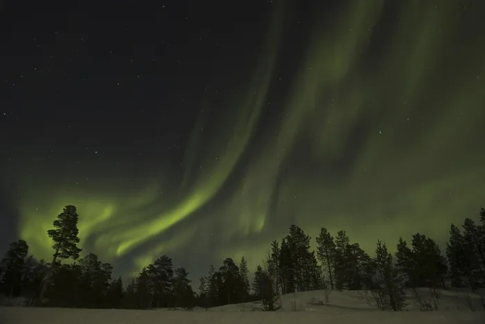 Framed Print : Northern Lights over forest, Aurora borealis