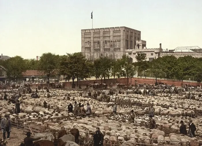 Framed Print : Norwich Castle and sheep market in Norwich