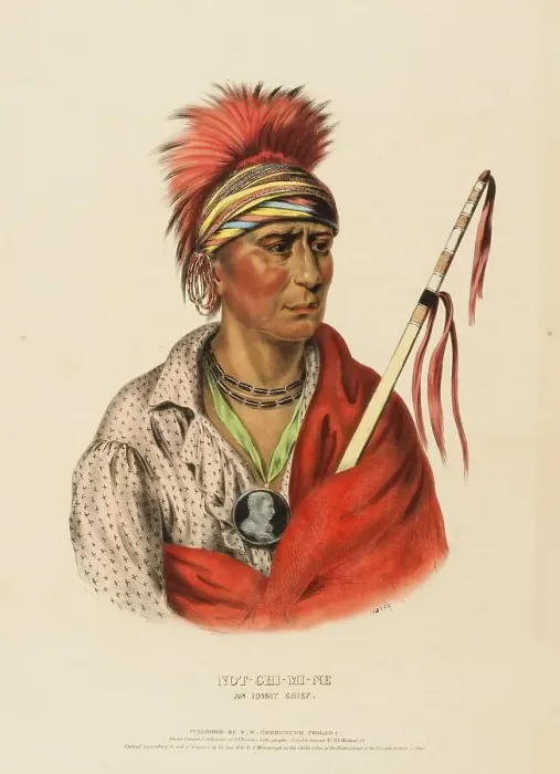 Framed Print : Not-Chi-Mi-Ne. An Ioway Chief (1838)